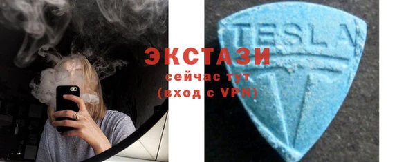 хмурый Алексин