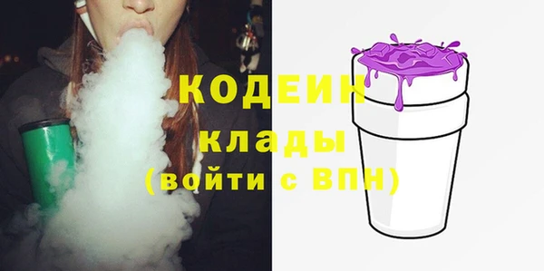 стаф Кодинск