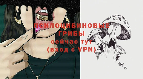 хмурый Алексин